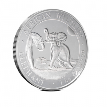 1 kg sidabrinė moneta Afrikos laukinė gamta - Dramblys, Somalis 2024