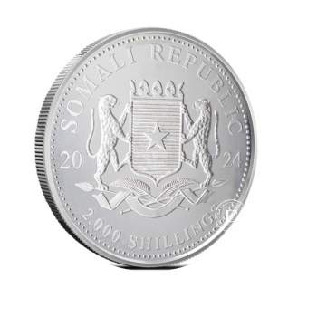 1 kg sidabrinė moneta Afrikos laukinė gamta - Dramblys, Somalis 2024
