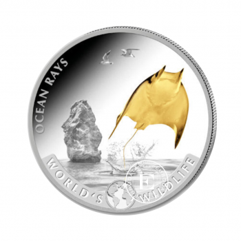 1 oz (31.10 g) sidabrinė moneta Kongo pasaulio laukinė gamta Rays, Kongo Respublika 2023 (dalinai paauksuota)