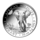10 oz (311 g) srebrna moneta Afrykańska przyroda - Słoń, Somalia 2025