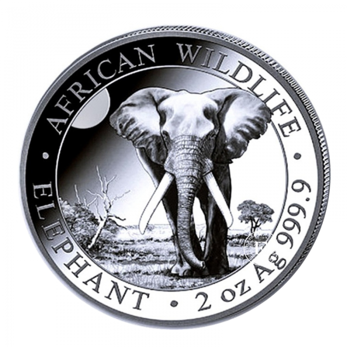 2 oz (62.20 g) srebrna moneta Afrykańska przyroda - Słoń, Somalia 2025