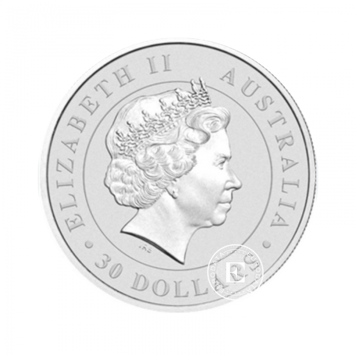 1 kg srebna moneta Koala, Australia 2014