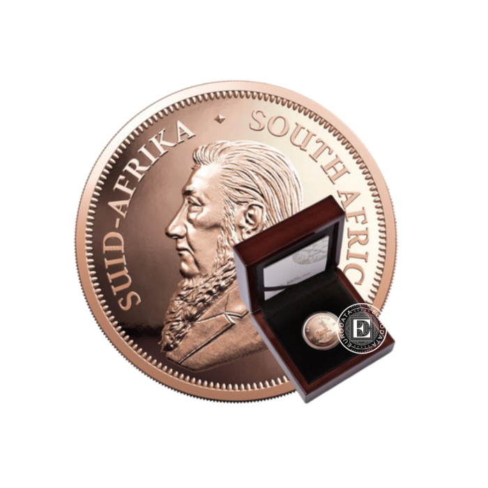 1 oz (31.10 g) pièce d'or PROOF Krugerrand, République d'Afrique du Sud 2024 (avec certificat)