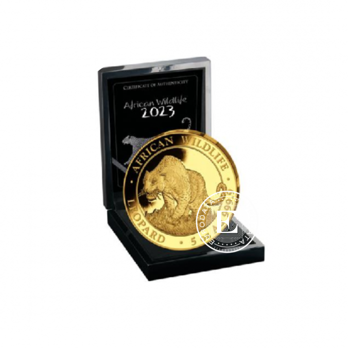 5 oz (155.50 g) złota PROOF moneta African Wildlife, Leopard, Somalia 2023 (z certyfikatem)