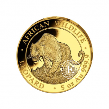 5 oz (155.50 g) auksinė PROOF moneta Afrikos laukinė gamta - Leopardas, Somalis 2023 (su sertifikatu)