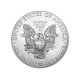 1 oz (31.10 g) sidabrinė moneta Amerikos Erelis, JAV 2020 (Senas dizainas)