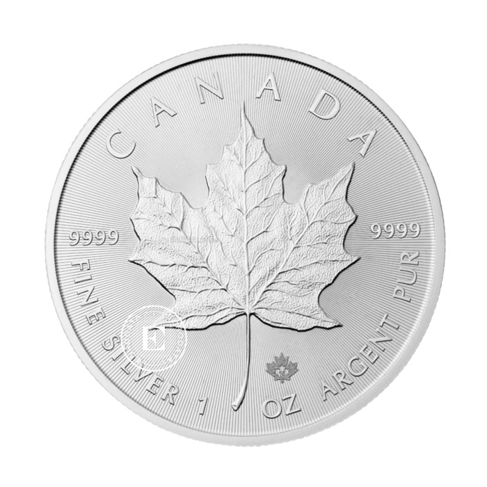 1 oz (31.10 g) sidabrinė moneta Klevo lapas, Kanada 2026