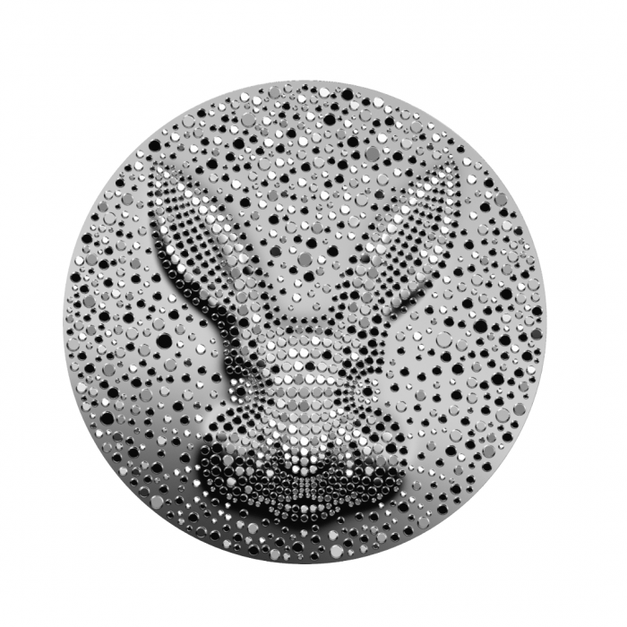 1 dollar silver coin The black water rabbit, Niue 2023
