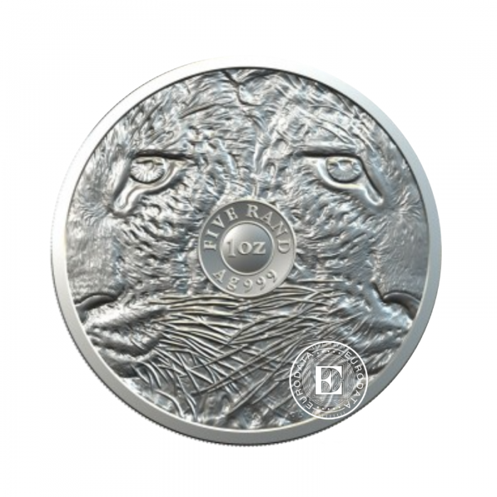 1 oz (31.10 g) sidabrinė moneta Didysis penketas -  Leopardas, Pietų Afrikos Respublika 2020