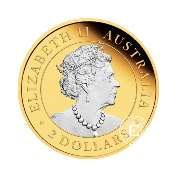 2 oz (62.20 g) sidabrinė moneta Kengūra, Australija 2022 (dalinai paauksuota, su sertifikatu)