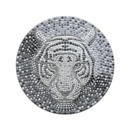5 dolerių sidabrinė moneta Vandens Tigras, Niujė 2022