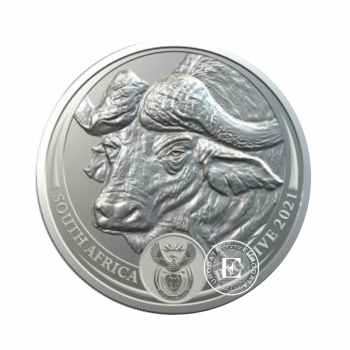 1 oz (31.10 g) silbermünze Buffalo, South Africa 2021