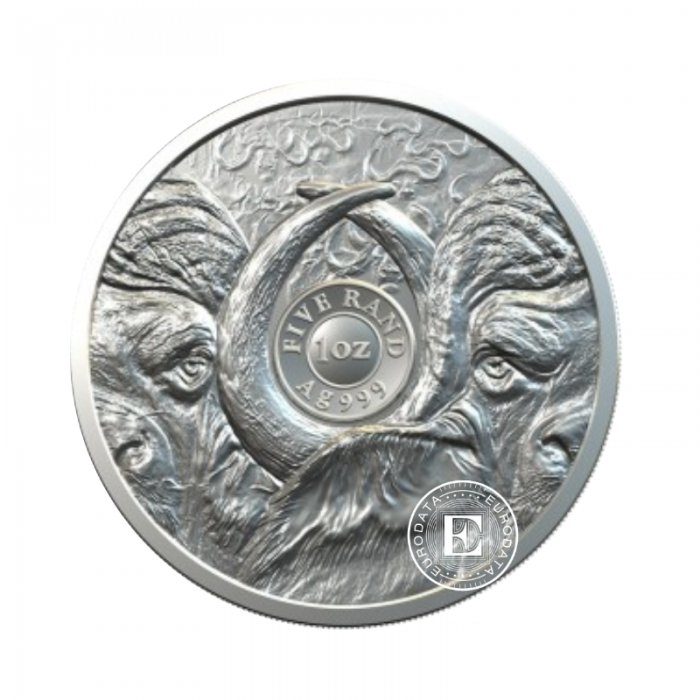 1 oz (31.10 g) sidabrinė moneta Didysis penketas -  Buivolas, Pietų Afrikos Respublika 2021