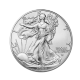1 oz (31.10 g) pièce d'argent American Eagle, USA (random year)