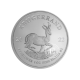 1 oz (31.10 g) sidabrinė moneta Krugerrand, Pietų Afrikos Respublika 2022
