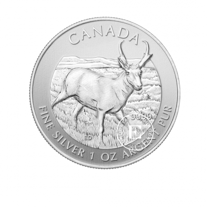 1 oz (31.10 g) pièce d'argent  Faune canadienne, Antilope, Canada 2013