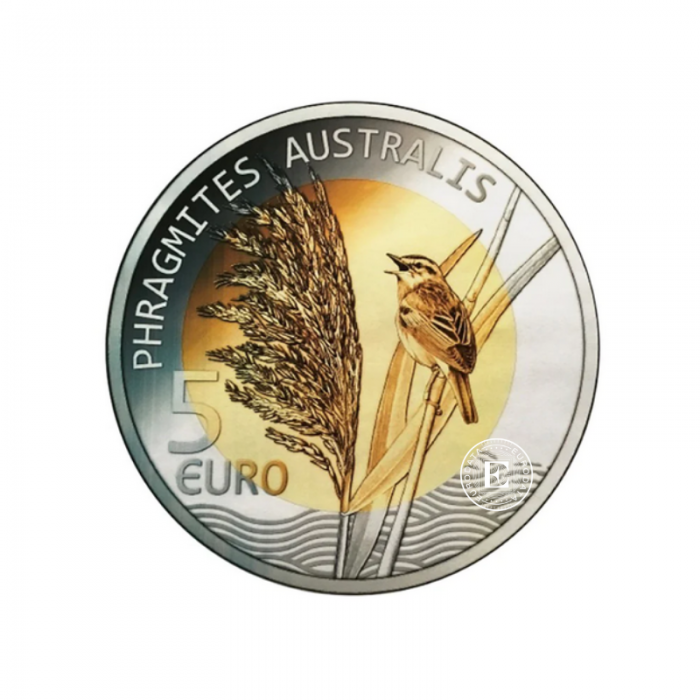 5 Eur (14.93 g) srebrna PROOF moneta na karcie Phragmittes Australis - Roseau, Liuksemburg 2018 (częściowo złocona)