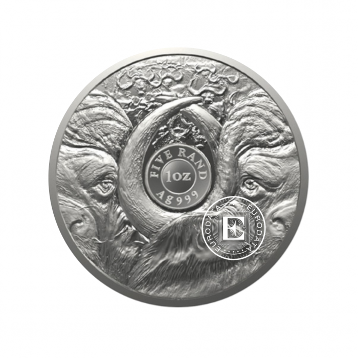 1 oz (31.10 g) Silbermünze auf de Karte PROOF Big Five – Buffalo, Republik Südafrika 2023 
