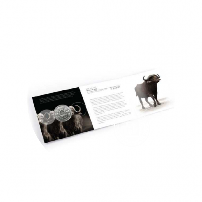 1 oz (31.10 g) pièce d'argent sur la carte Big Five – Buffalo, République d'Afrique du Sud 2023