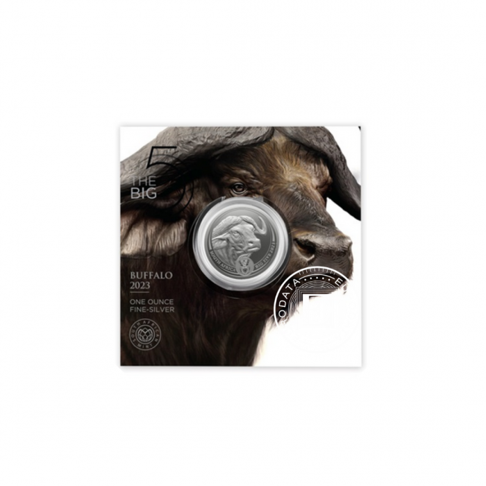 1 oz (31.10 g) pièce d'argent sur la carte Big Five – Buffalo, République d'Afrique du Sud 2023