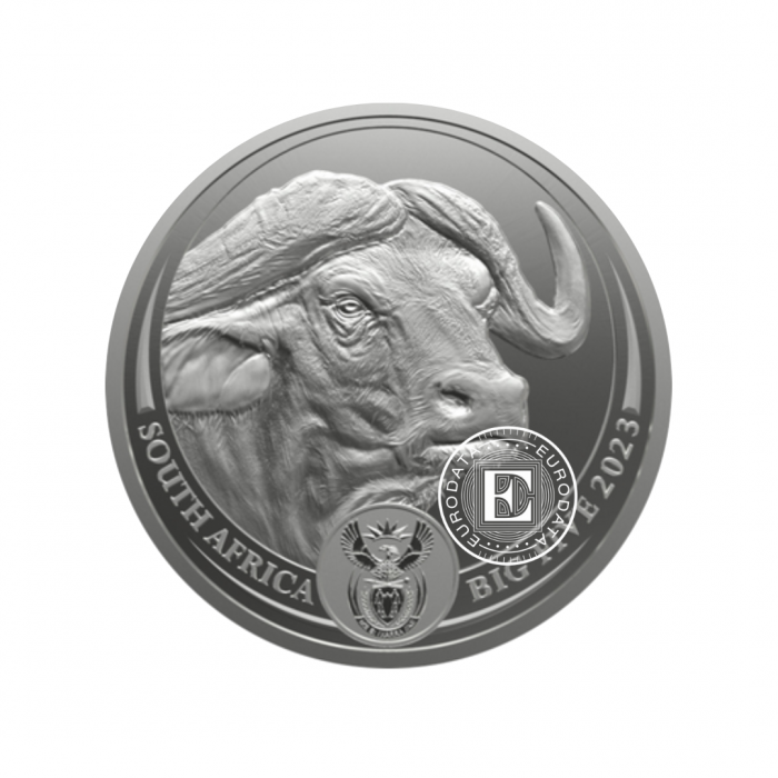 1 oz (31.10 g) pièce d'argent sur la carte Big Five – Buffalo, République d'Afrique du Sud 2023