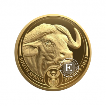1/4 oz (7.78 g) auksinė PROOF moneta Didysis penketas - Buivolas, Pietų Afrikos Respublika 2023 (su sertifikatu)