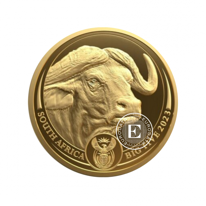 1 oz (31.10 g) pièce d'or PROOF Big Five – Buffalo, République d'Afrique du Sud 2023 (avec certificat)
