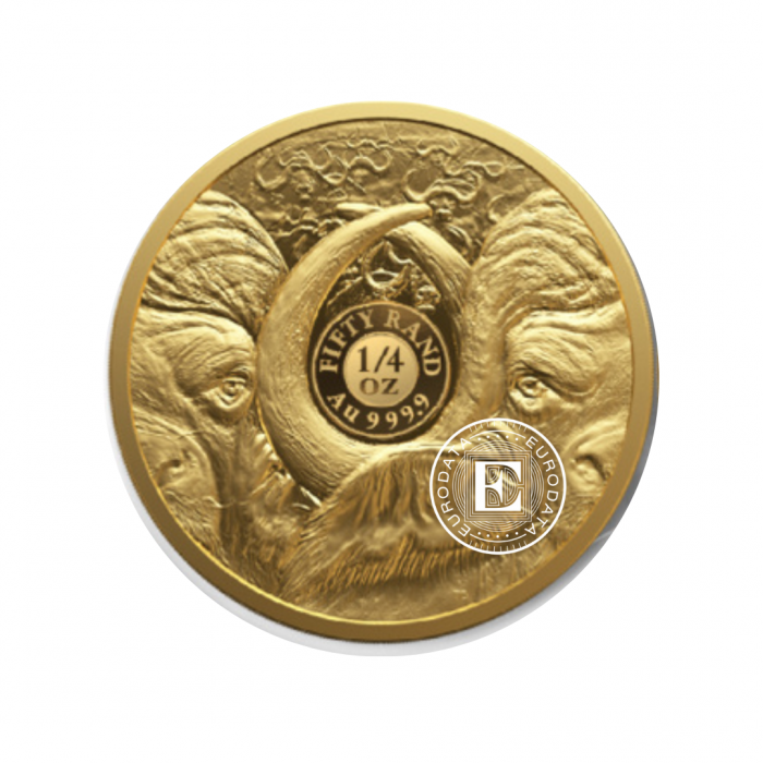 1/4 oz (7.78 g)  złota PROOF moneta Big Five – Buffalo, Republika Południowej Afryki 2023 (z certyfikatem)