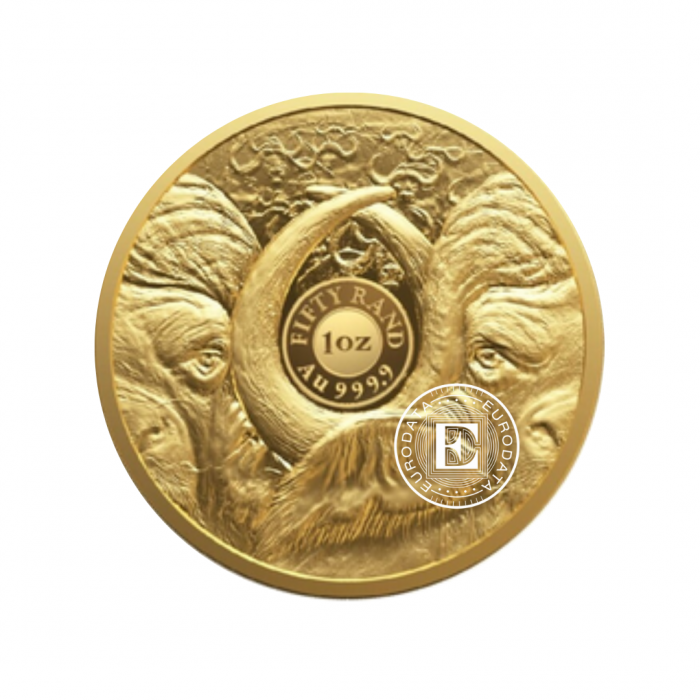 1 oz (31.10 g) auksinė PROOF moneta Didysis penketas - Buivolas, Pietų Afrikos Respublika 2023 (su sertifikatu)