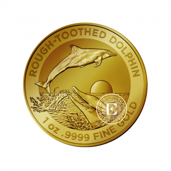 1 oz (31.10 g) auksinė moneta Raukšliadantis delfinas, Australija 2023 (su sertifikatu)