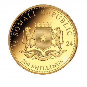 1/4 oz (7.78 g) auksinė moneta Dramblys, Somalis 2024