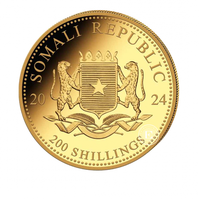1/4 oz (7.78 g) auksinė moneta Afrikos laukinė gamta - Dramblys, Somalis 2024