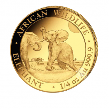 1/4 oz (7.78 g) auksinė moneta Dramblys, Somalis 2024
