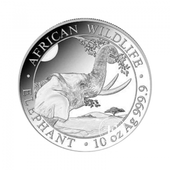 10 oz (311 g) sidabrinė moneta Dramblys, Somalis 2023