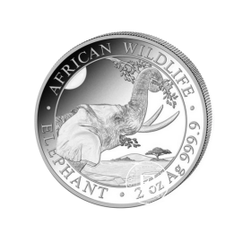 2 oz (62.20g) sidabrinė moneta Dramblys, Somalis 2023