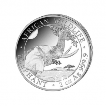 2oz (62.20 g) pièce d'argent  Éléphant, Somalie 2023