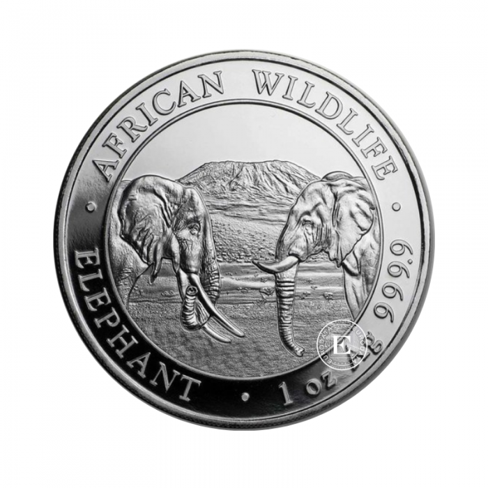 1 oz (31.10 g) silver coin African wildlife - Elephant, Somalia 2020