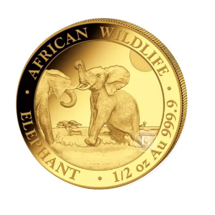 1/2 oz (15.55 g)  złota moneta Afrykańska przyroda - Słoń, Somalia 2024