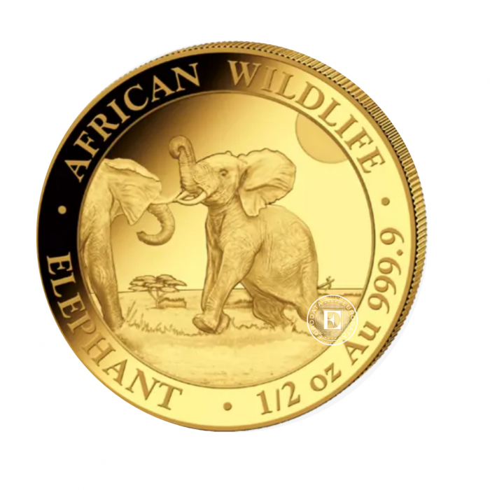 1/2 oz (15.55 g) auksinė moneta Afrikos laukinė gamta - Dramblys, Somalis 2024