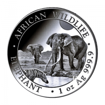 1 oz (31.10 g) sidabrinė moneta Afrikos laukinė gamta - Dramblys, Somalis 2026