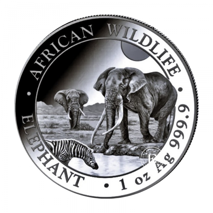 1 oz (31.10 g) Silbermünze Afrikanische Tierwelt – Elefant, Somalia 2026