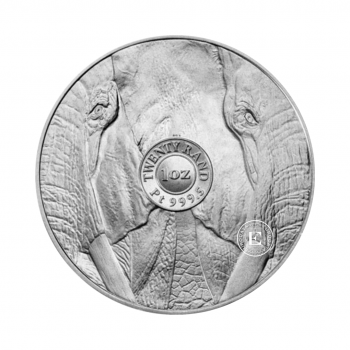 1 oz (31.10 g) platynowa moneta Big Five - Elephant, Afryka Południowa 2023