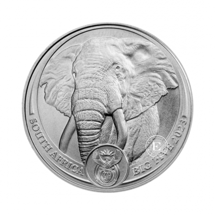1 oz (31.10 g) platininė moneta Didysis penketas - Dramblys, Pietų Afrikos Respublika 2023