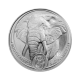 1 oz (31.10 g) platininė moneta Didysis penketas - Dramblys, Pietų Afrikos Respublika 2023