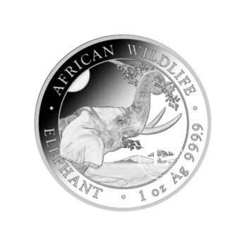 1 oz (31.10 g) sidabrinė moneta The African Wildlife - Dramblys, Somalis 2023