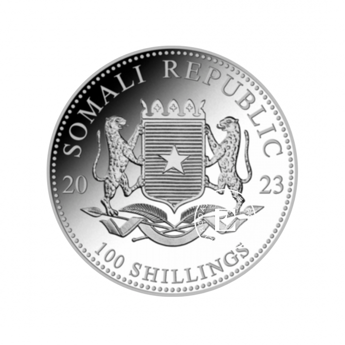 1 oz (31.10 g) sidabrinė moneta Afrikos laukinė gamta  - Dramblys, Somalis 2023