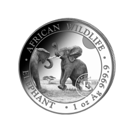 1 oz (31.10 g) sidabrinė moneta Afrikos laukinė gamta - Dramblys, Somalis 2024