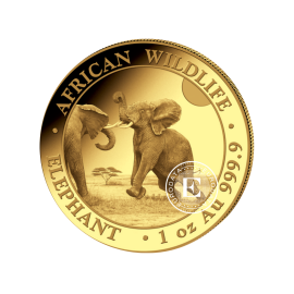 1 oz (31.10 g) pièce d'or Faune Africaine - Éléphant, Somalie 2024