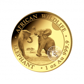 1 oz (31.10 g) auksinė moneta Afrikos laukinė gamta - Dramblys, Somalis 2024