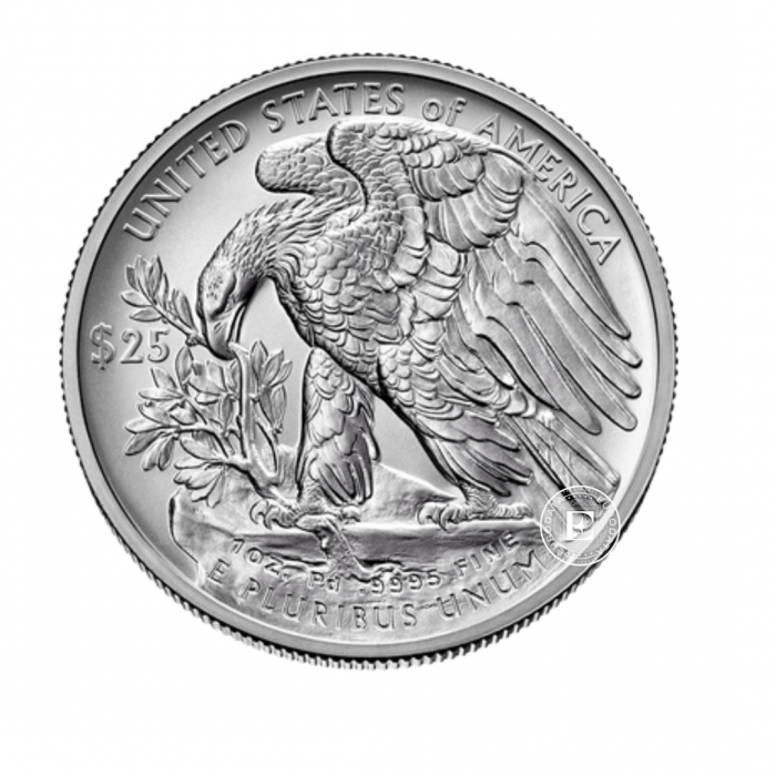 1 oz (31.10 g) pièce d'palladium American Eagle, États-Unis (random year)